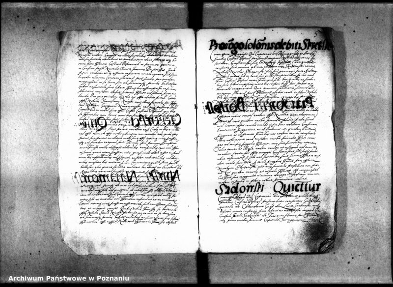 Obraz 8 z jednostki "Inscriptiones [inducta]"