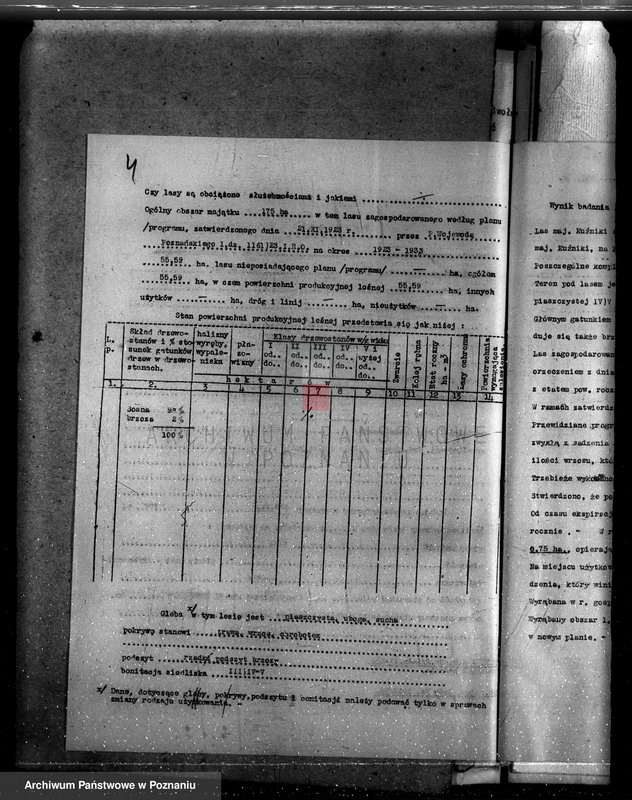 Obraz 8 z jednostki "Lasy majątku Kuźniki powiatu kępińskiego"