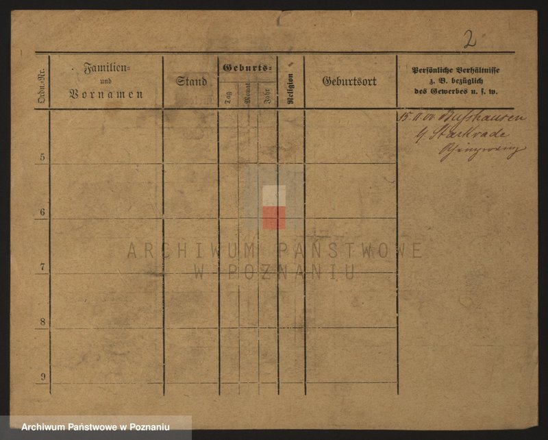 Obraz 7 z jednostki "Skrzypkowiak - Skórnik"