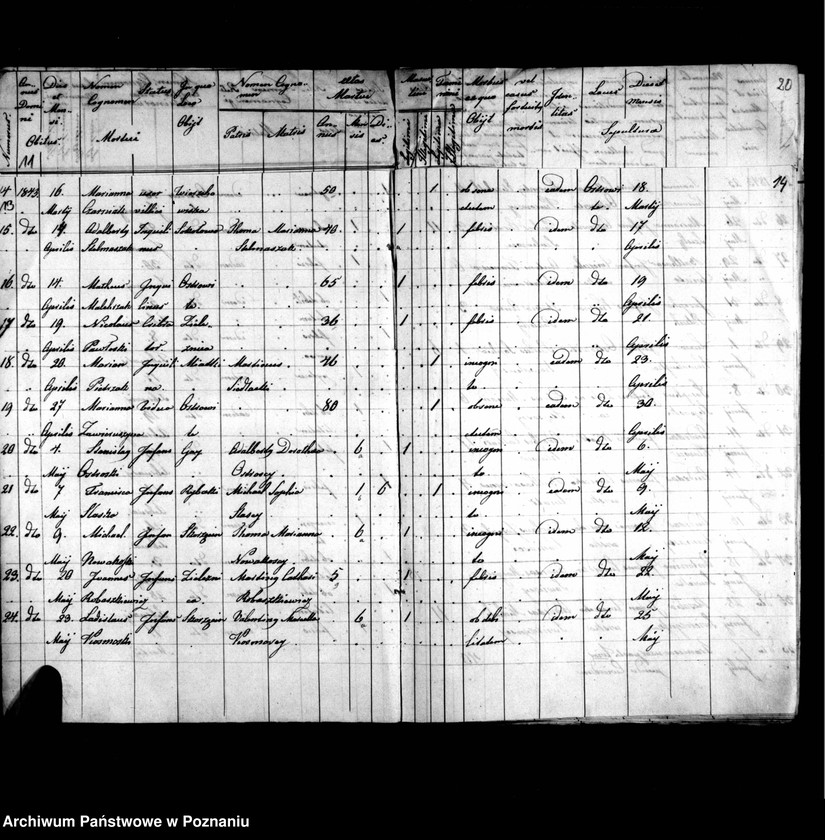 image.from.unit.number "Duplicatus baptisatorum, copulatorum, mortuorum"