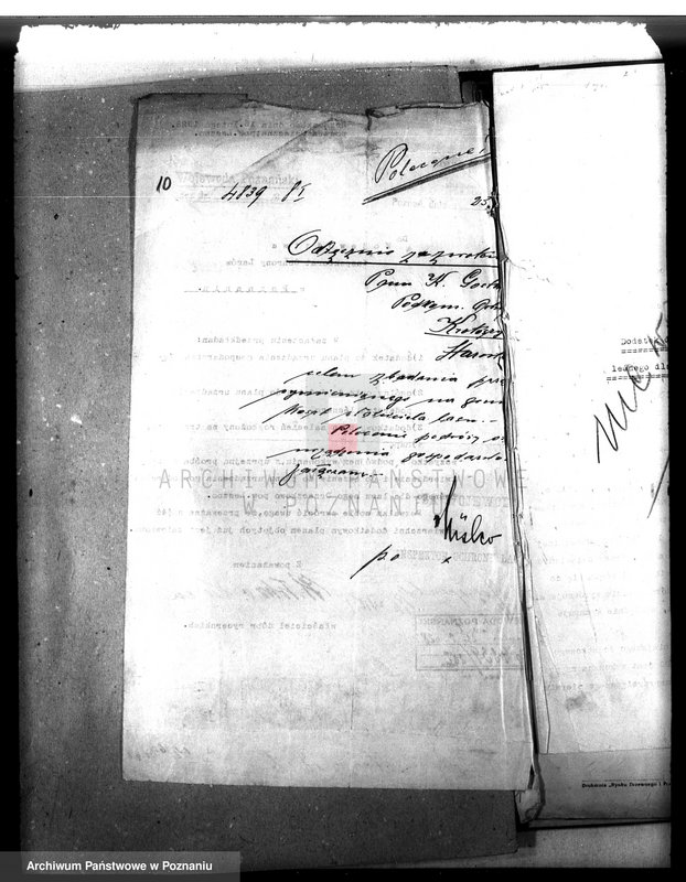 Obraz 14 z jednostki "Majętność leśna Drzeczkowo powiat leszczyński"