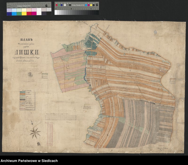 Obraz 3 z kolekcji "Plany folwarków guberni siedleckiej111"