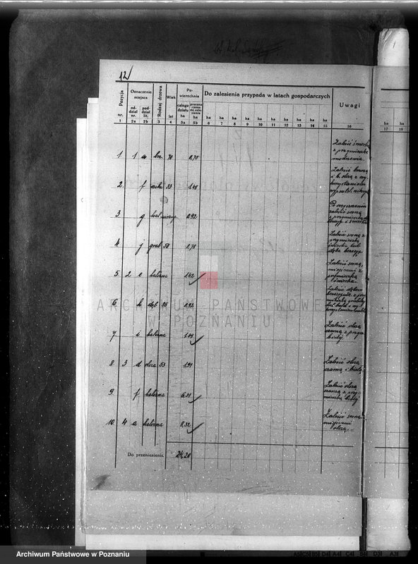 Obraz 18 z jednostki "Plan urządzenia gospodarstwa leśnego dla lasu majątku Niego lewo powiat nowotomyski 1927-1937"