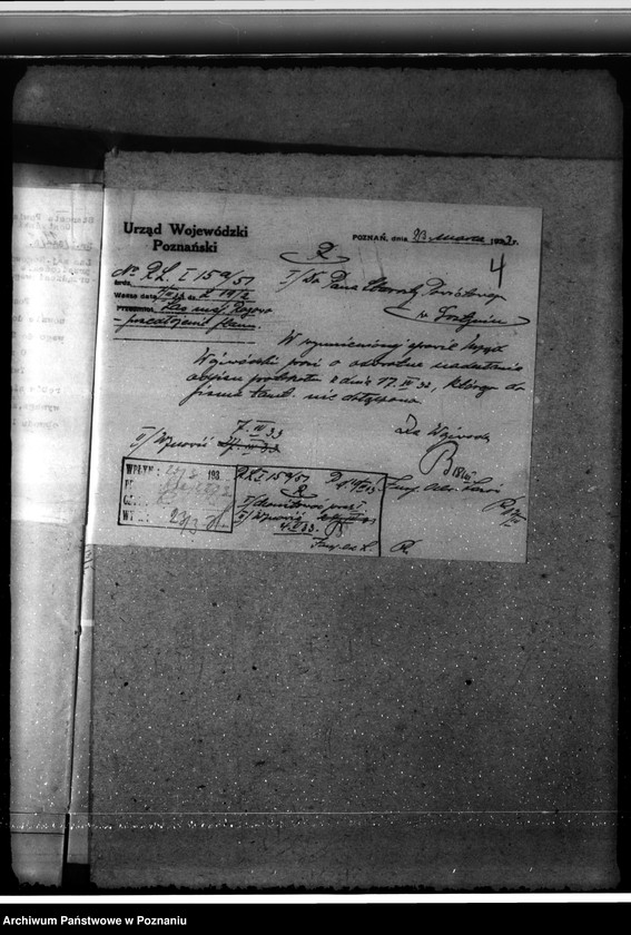 Obraz 8 z jednostki "Nadzór nad gospodarką w lasach majętności Rogowo w powiecie gostyńskim"