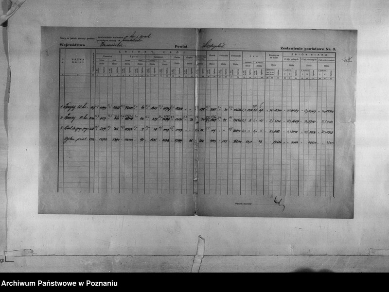 Obraz 4 z jednostki "/Statystyka produkcji rolnej - zestawienie powiatowe dotyczące zbiorów z terenu powiatu międzychodzkiego/"