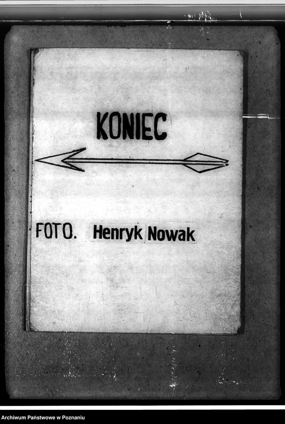 Obraz 16 z jednostki "Las majętności Dalabuszki powiat gostyński"