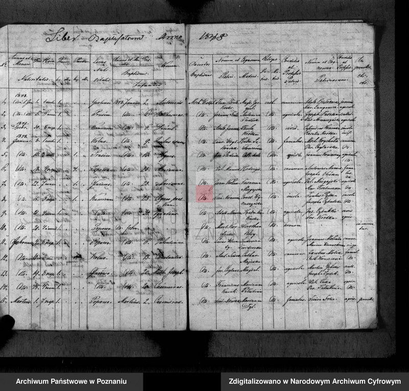 Obraz 6 z jednostki "Duplikat baptisatorum, copulatorum, mortuorum"