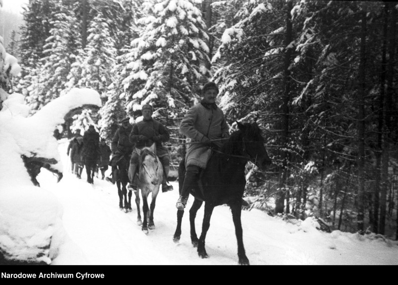 image.from.unit.number "Polowanie na niedźwiedzie w nadleśnictwie Sołotwina, w lasach należących do hrabiego Adama Zdzisława Zamoyskiego"