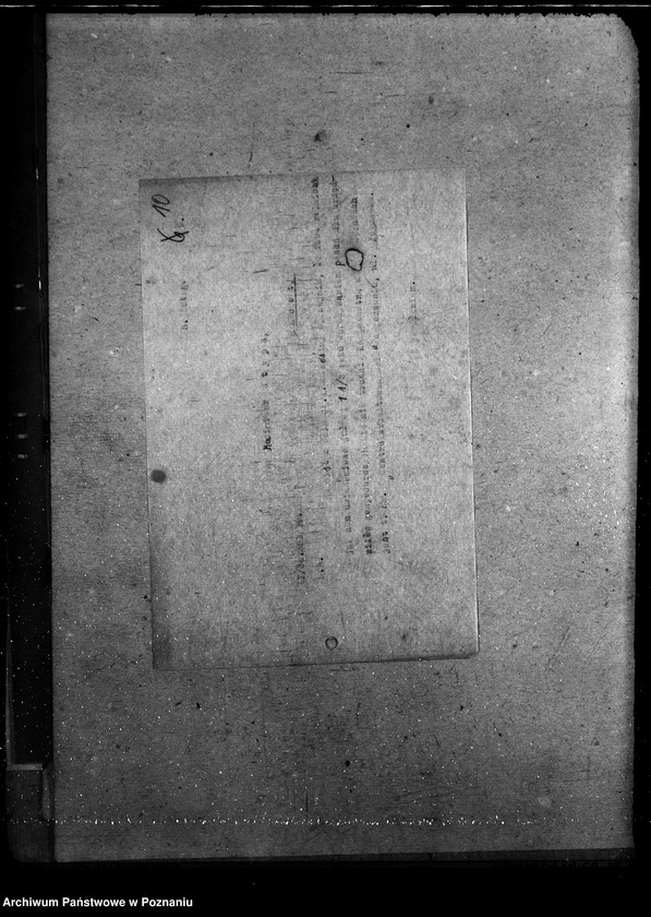 Obraz 15 z jednostki "Informacja o rolnictwie"