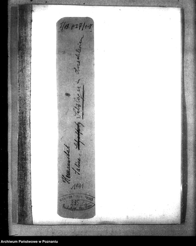 Obraz 4 z jednostki "Hermannsbad- Saline- Salzlager in Oberschlesien"