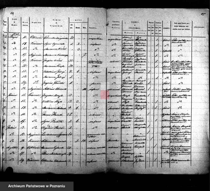 Obraz 9 z jednostki "Duplikat baptisatorum, copulatorum, mortuorum"