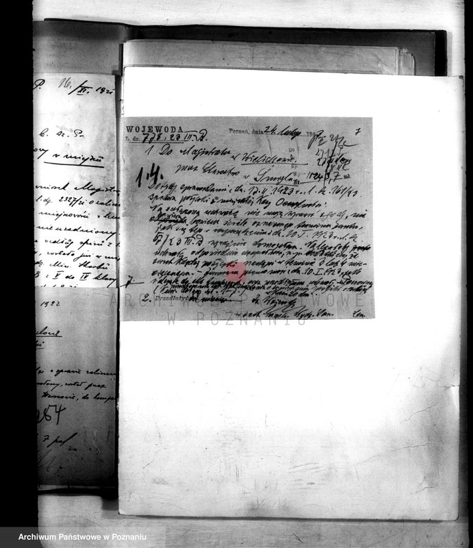 Obraz 11 z jednostki "Administracja miasta Wielichowa"