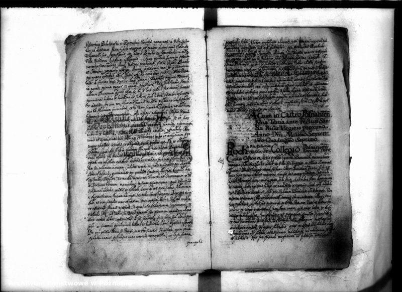 Obraz 7 z jednostki "Inscriptiones [inducta]"