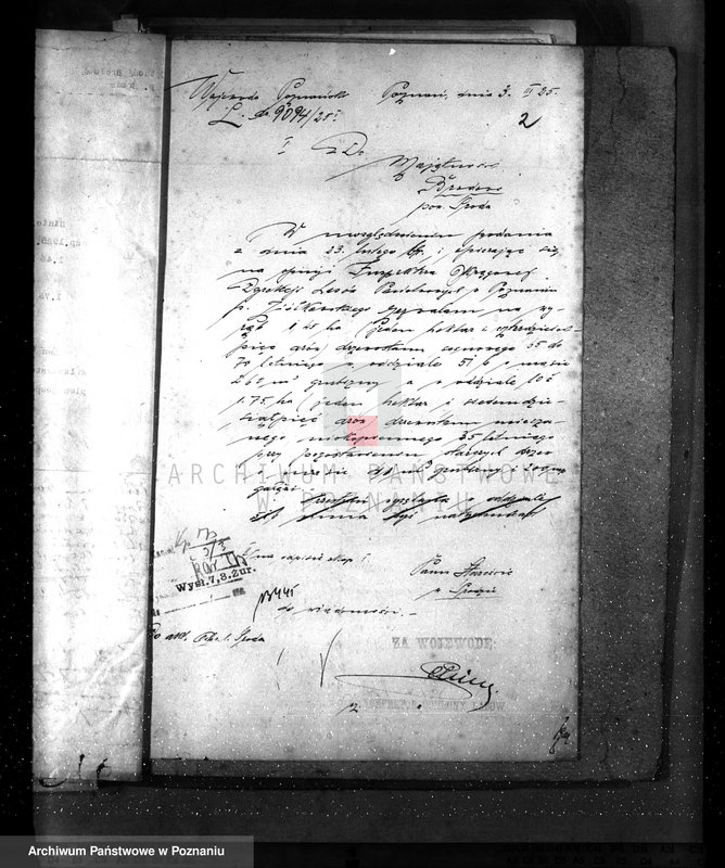 Obraz 6 z jednostki "Majętność leśna Brodowo powiat średzki"