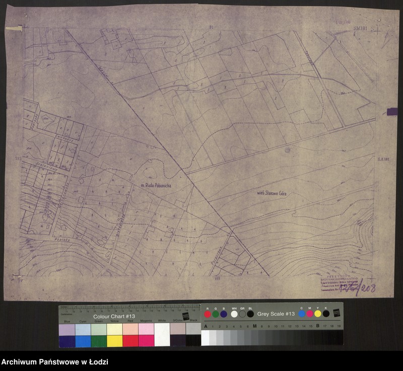 Obraz 1 z jednostki "Plan miasta Łodzi. Sekcja SW 101"