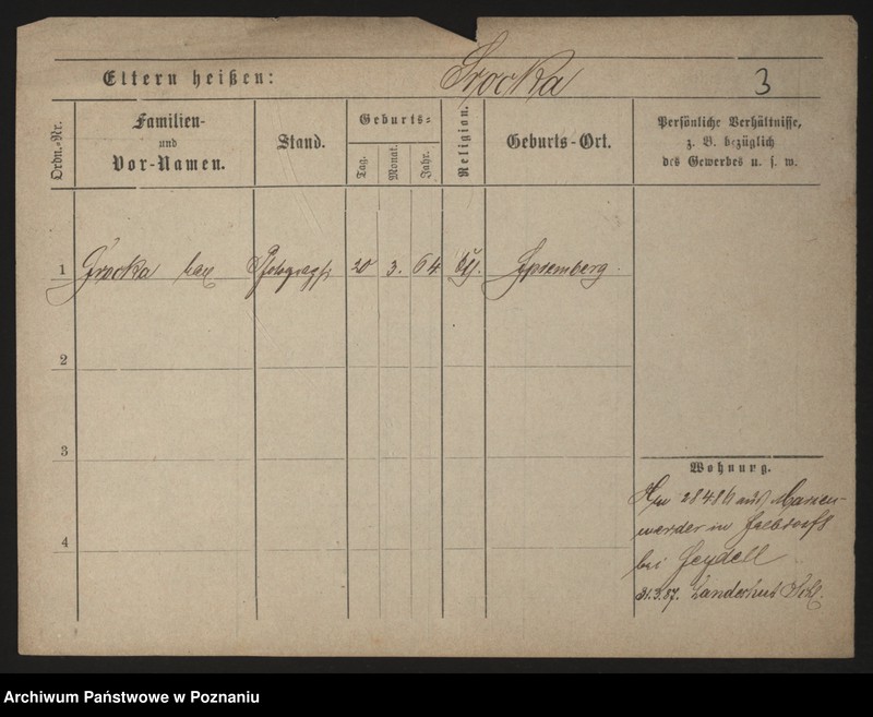 Obraz 11 z jednostki "Sroka - Stache"