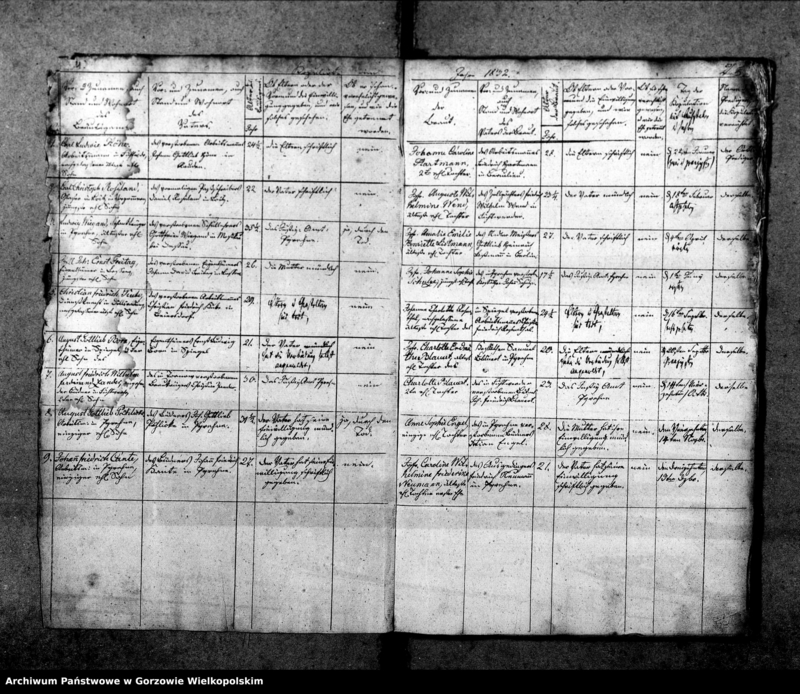 Obraz 7 z jednostki "Duplikate der Kirchenbücher von Pyrehne (Pyrzany): Pyrehne (Pyrzany), Woxholländer (Oksza), Logau (Łagów), Schützensorge (Kłopotowo), Pyrehner Holländer (Pyrzanki), Gross Rehne (Rań), Enterwerder (Kownatki), Stremeltswerder, Radewiesen (Zagajno), Ludwigshof (Okrąglica)."