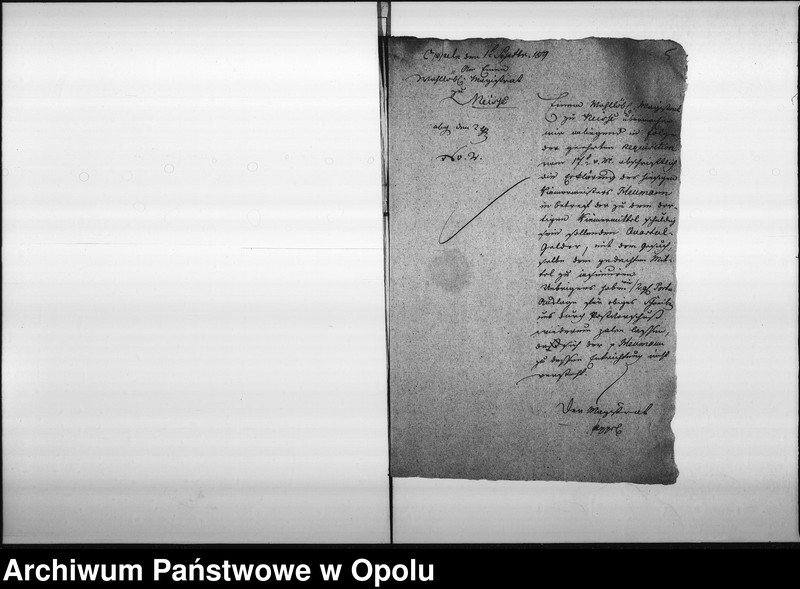 Obraz 8 z jednostki "Acta specialia die Beschwerde des Riemermittels zu Neisse entgegen den hiesigen Riemermeister Joseph Heumann wegen verweigerter Bezahlung der Mittels-Beiträge betreffend Vol: I de anno 1819"