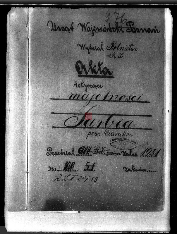 Obraz 4 z jednostki "Majętność leśna w Sarbii w powiecie czarnkowskim"