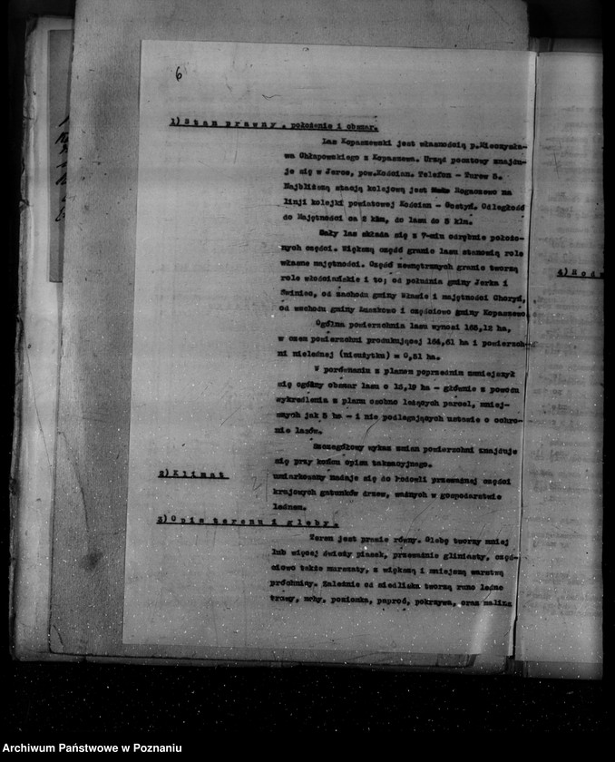 Obraz 9 z jednostki "Plan urządzania gospodarstwa leśnego dla lasu majętności Kopaczewo- Rogaczewo powiat kościański"