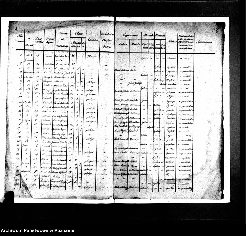 image.from.unit.number "Liber mortuorum"
