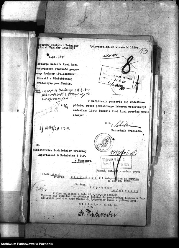 Obraz 17 z jednostki "Nosacizna - Szubin"