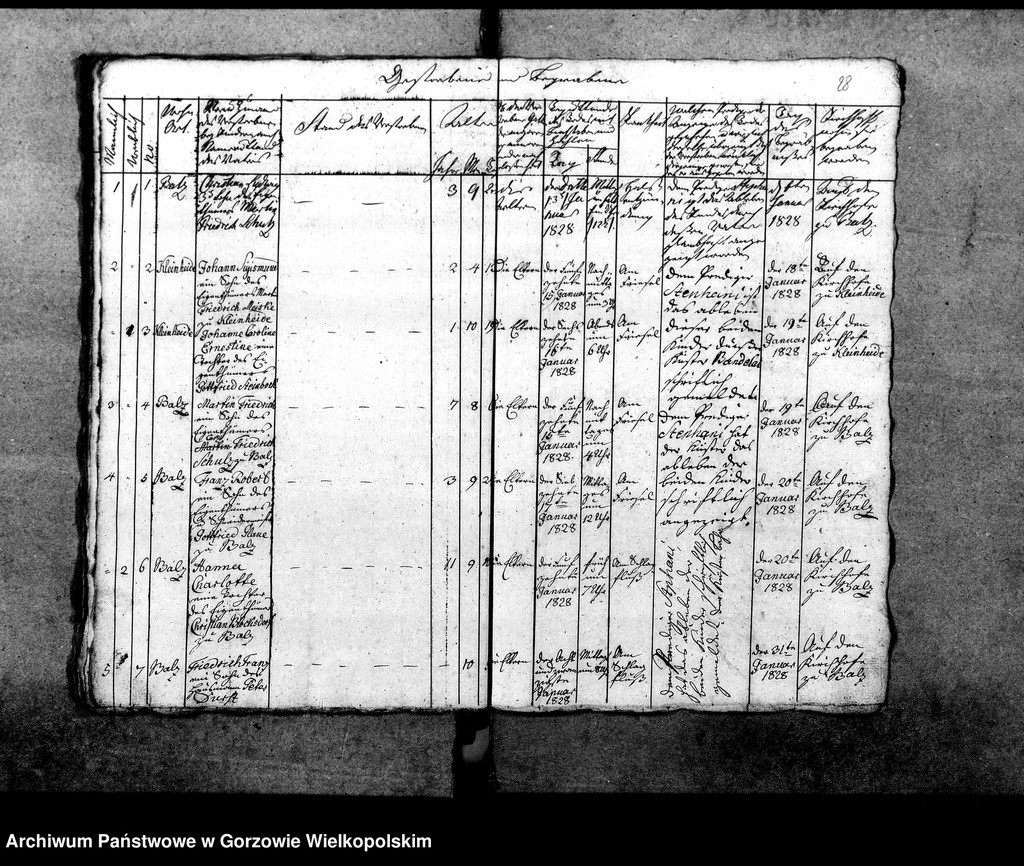 image.from.unit.number "Duplikate der Kirchenbücher von Balz: Balz (Białcz), Kleinheide Pszczelnik)"