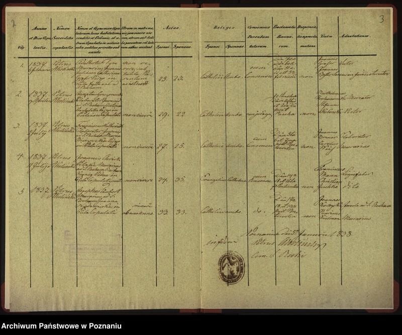 Obraz 4 z jednostki "Duplikat zaślubionych"