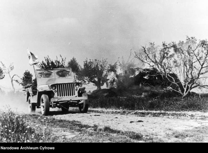 Obraz 13 z kolekcji "Auta XX wieku111"