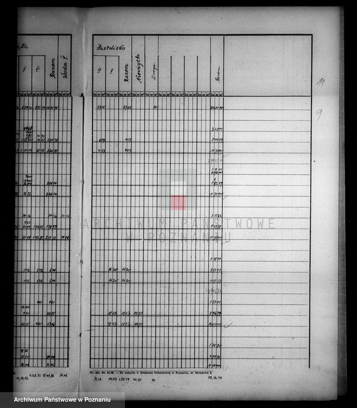 Obraz 13 z jednostki "Tymczasowy rejestr pomiarowy majątku Stare powiatu wyrzyskiego"