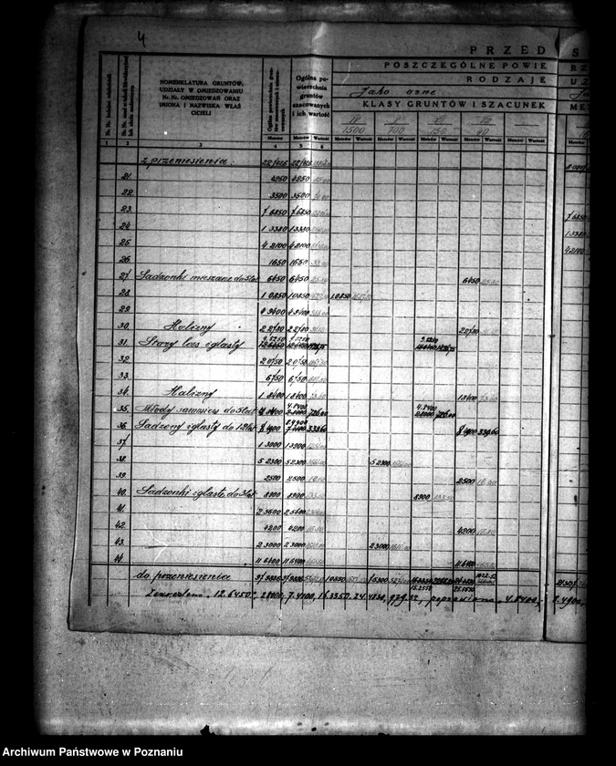 Obraz 8 z jednostki "Szczegółowe rejestry pomiarowo-szacunkowe podziału wspólnego pastwiska osady Lądek i osady Lądek Poduchowny I"