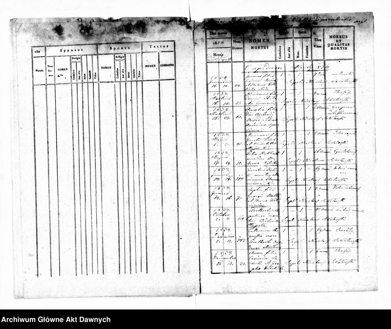 image.from.unit.number "Parafia: Mosty Wielkie. Dekanat: Bełz. Ekstrakty z księgi metrykalnej urodzeń, ślubów i zgonów dla miasta Mosty Wielkie i wsi: Butyny, Chlewczany*, Domaszów*, Przystań, Rekliniec, Dworce, Maziarnia**, Stanisłówka, Sałasze*, Strzemień, Wolica, Choronów*."