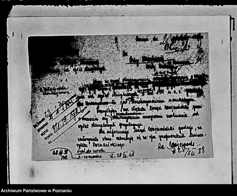 Obraz 18 z jednostki "/Towarzystwo Krzewienia Zasad Życia i Gospodarki zgodnie z Przyrodą w Poznaniu/"