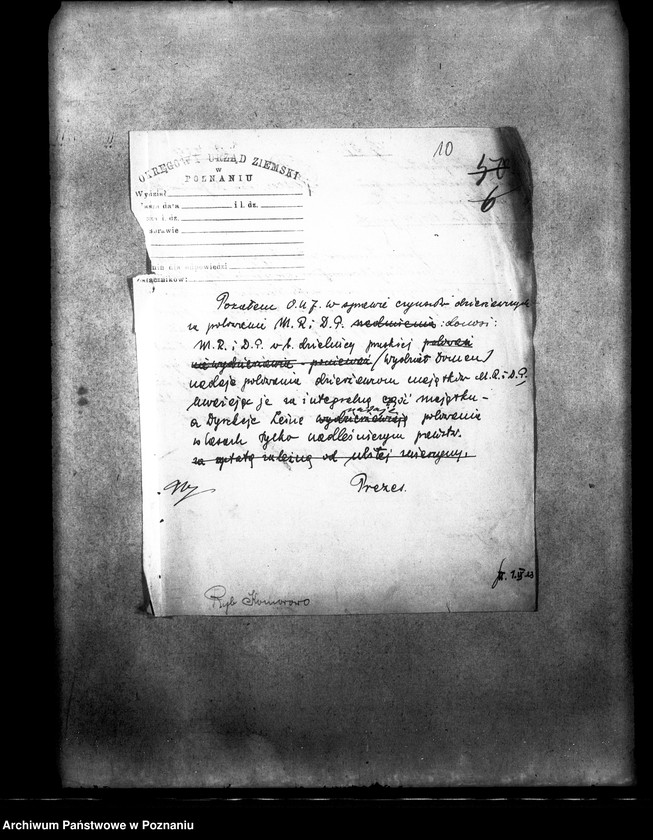 Obraz 15 z jednostki "Polowanie na jeziorze Bytyńskim Komorowo-Gorzewice"