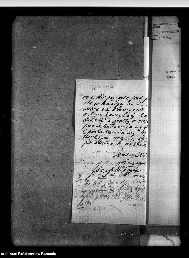 Obraz 8 z jednostki "Sprawy ogólne stadnin"