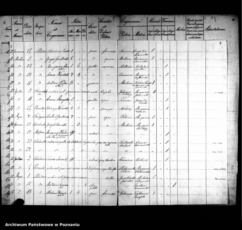 image.from.unit.number "Liber mortuorum"