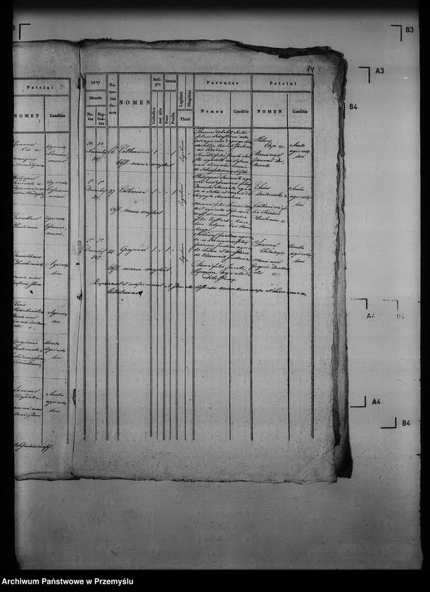 Obraz 19 z jednostki "[Kopie ksiąg metrykalnych parafii Mołoszkowice z filią Leśniowice (dekanat Jaworów)]"