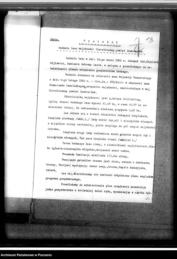 Obraz 17 z jednostki "Las majętności Wierzbiczany w powiecie inowrocławskim"