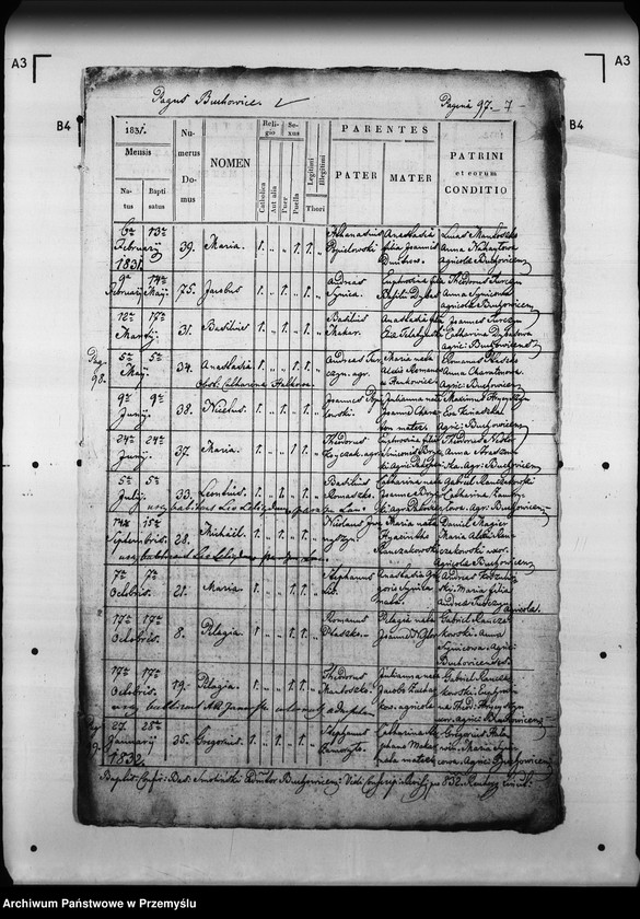 Obraz 11 z jednostki "[Kopie ksiąg metrykalnych parafii Pakość z filiami Buchowice, Czyszki (dekanat Mościska)]"