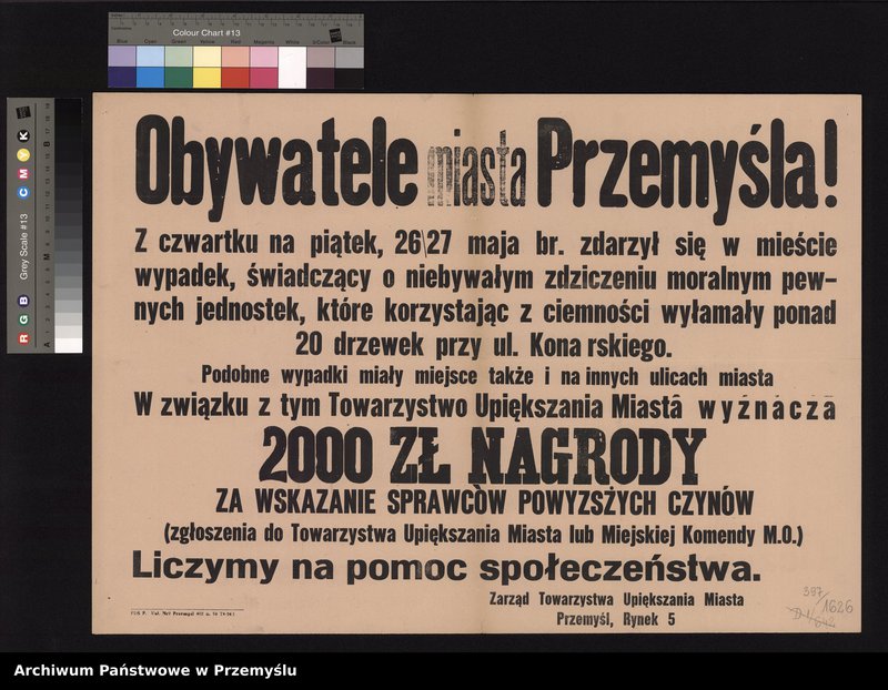Obraz 7 z kolekcji "Towarzystwo Upiększania Miasta Przemyśla111"