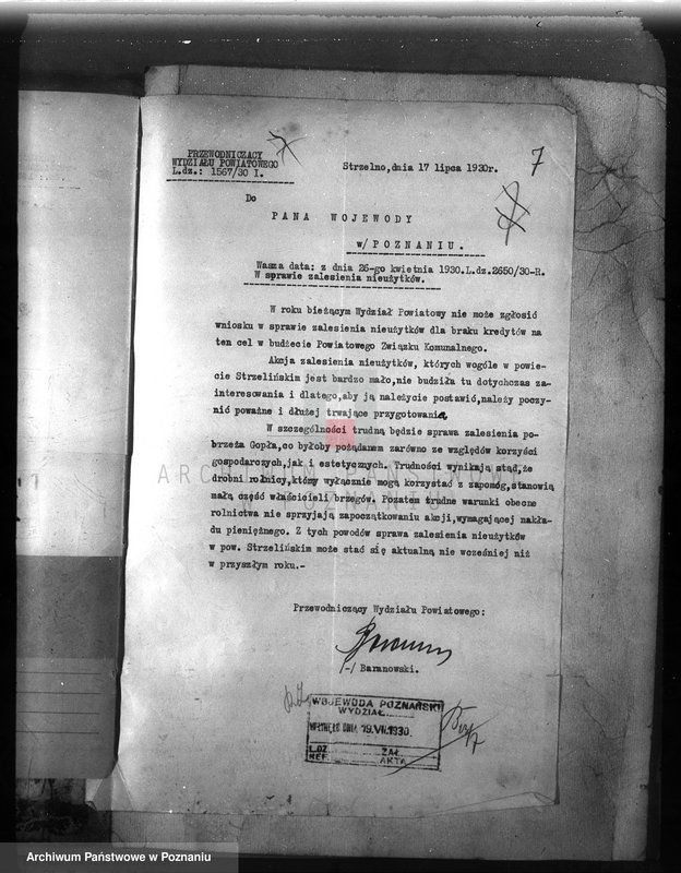 Obraz 11 z jednostki "Zalesienie nieużytków w powiecie mogileńskim"