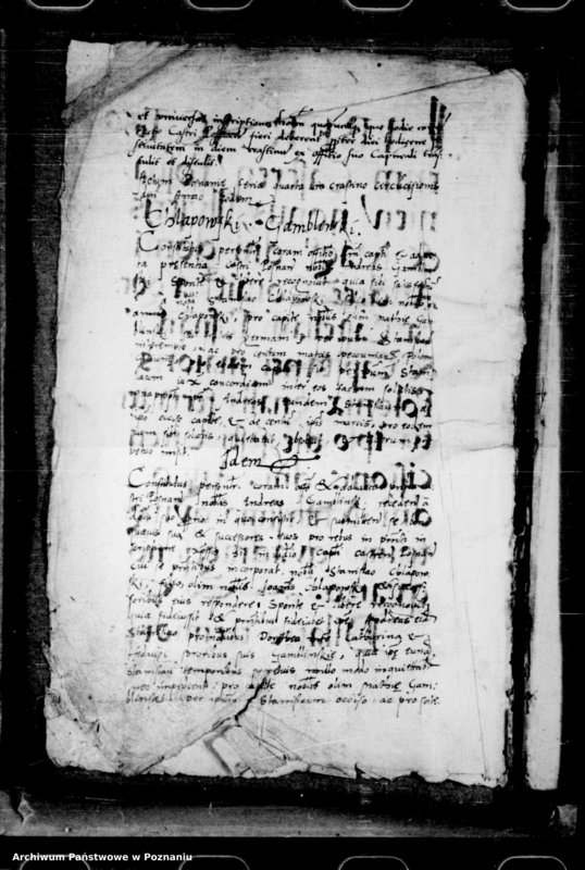 Obraz 5 z jednostki "Inscriptiones, relationes, decreta iudicii et officii [inducta]"