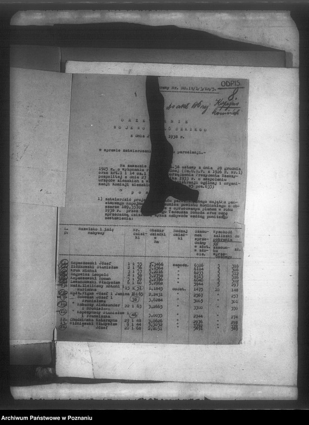 Obraz 12 z jednostki "Parcelacja majątku państwowego Kopojno powiatu konińskiego"