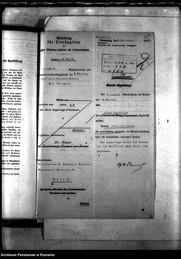 Obraz 9 z jednostki "Nosacizna - Starogard"