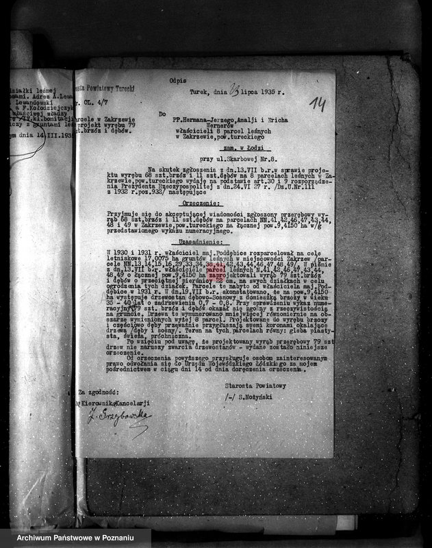 Obraz 19 z jednostki "Gmina Niewiesz powiat turecki /nadzór nad gospodarką leśną/"