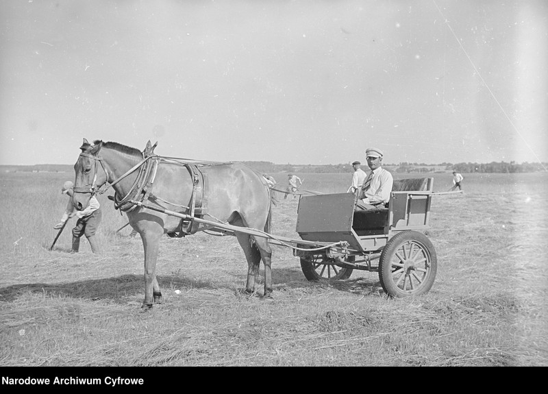 image.from.unit.number "Rolnictwo. Łąki, sianokosy"