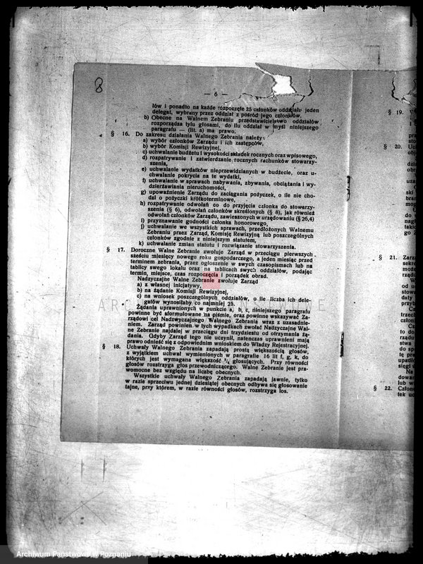 Obraz 12 z jednostki "/Wielkopolski Związek Pszczelarzy/"