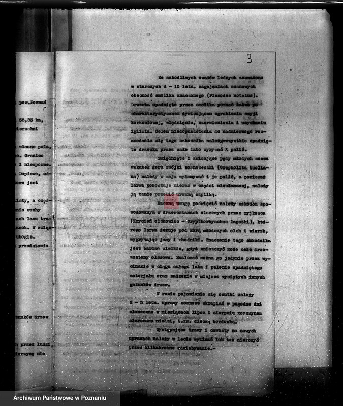 Obraz 7 z jednostki "Plan urządzenia gospodarstwa leśnego dla lasu majętności Lusówko powiat poznański 1930-1940"