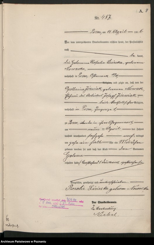 Obraz 11 z jednostki "Księga miejscowa urodzeń tom II [Rejestr główny urodzeń]"