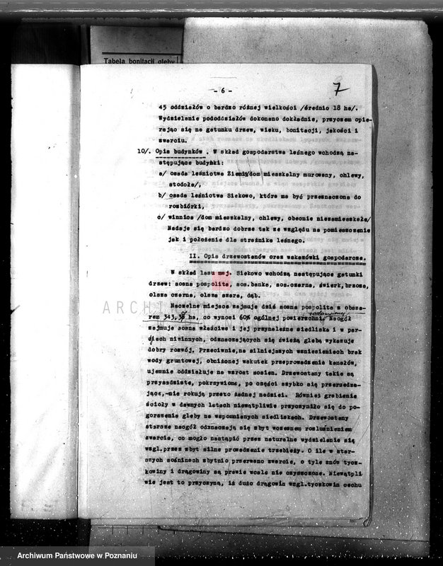 Obraz 11 z jednostki "Las majętność /Siekówko/ powiat kościański plan urządzenia 1933-1943"